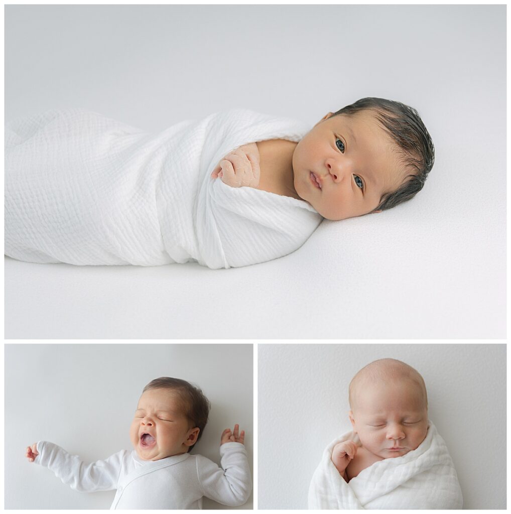 Newborns posed on white background