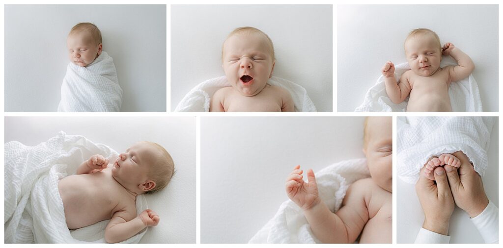 Newborn posed on white background.