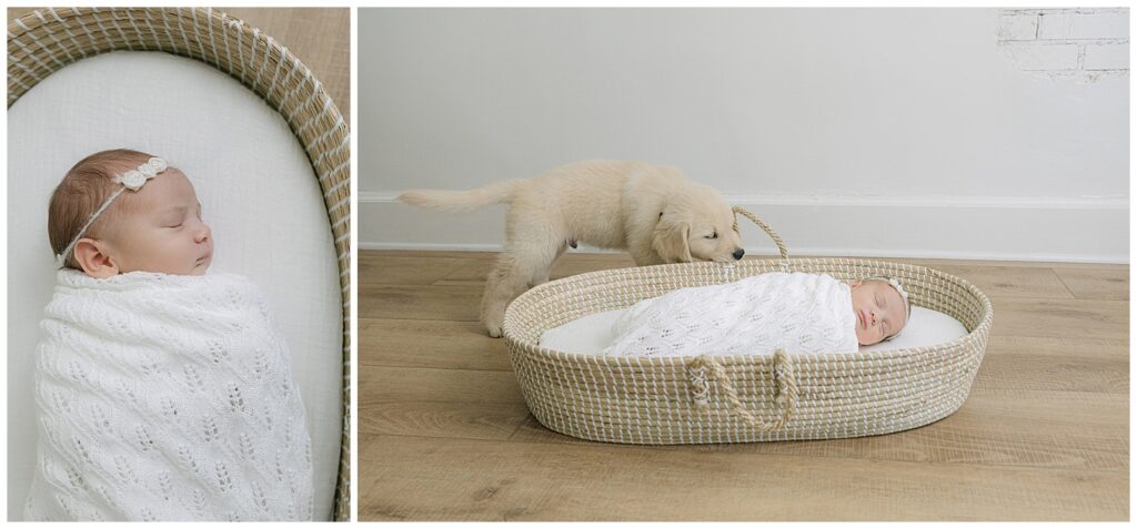 Family newborn session with pets in Bossier Louisiana