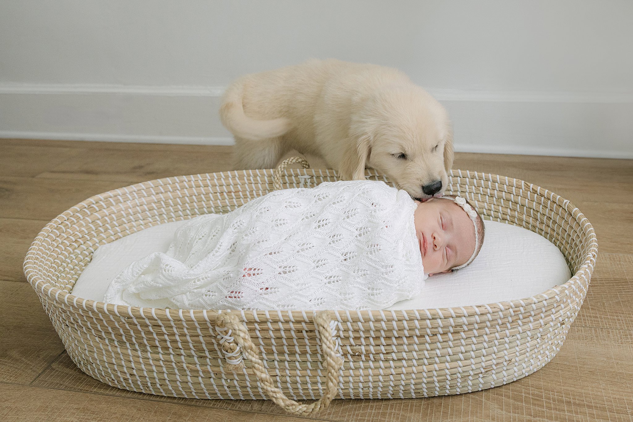 Sweet newborn and dog photo captured during a family newborn session with pets in Bossier and Shreveport