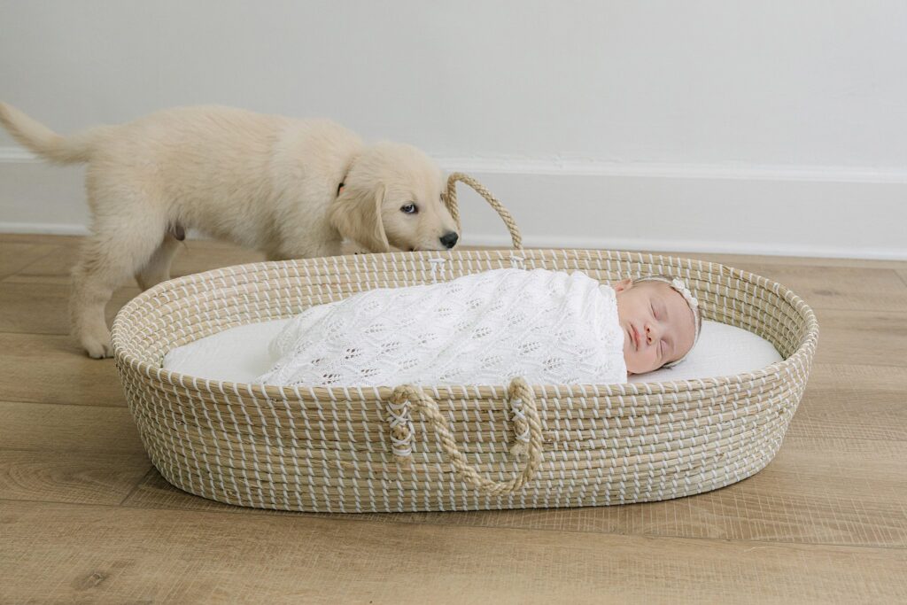 Newborn and dog photos in Shreveport during a family newborn session